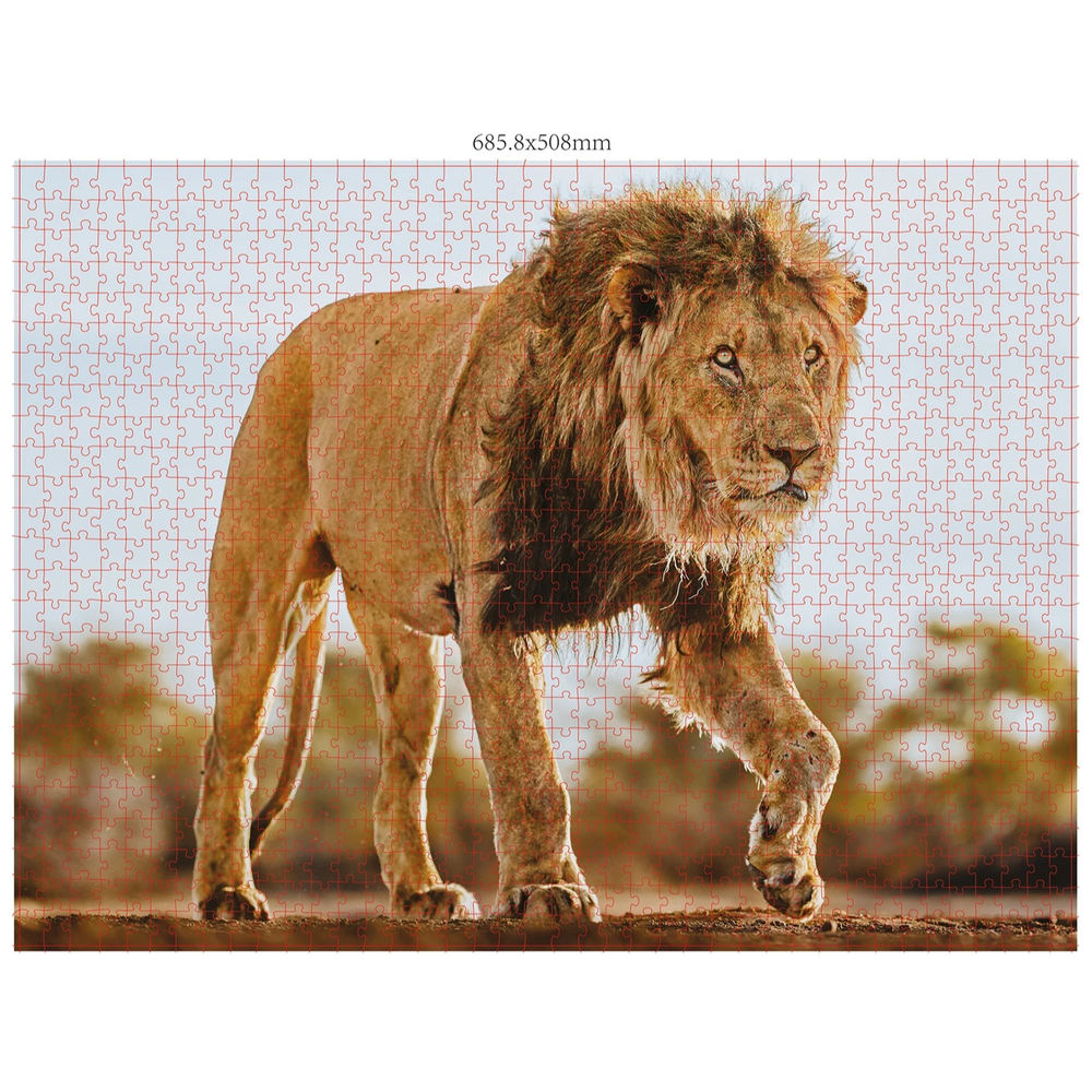 Ambassador Wildtiere 3x1000 Teile (Donal Boyd)