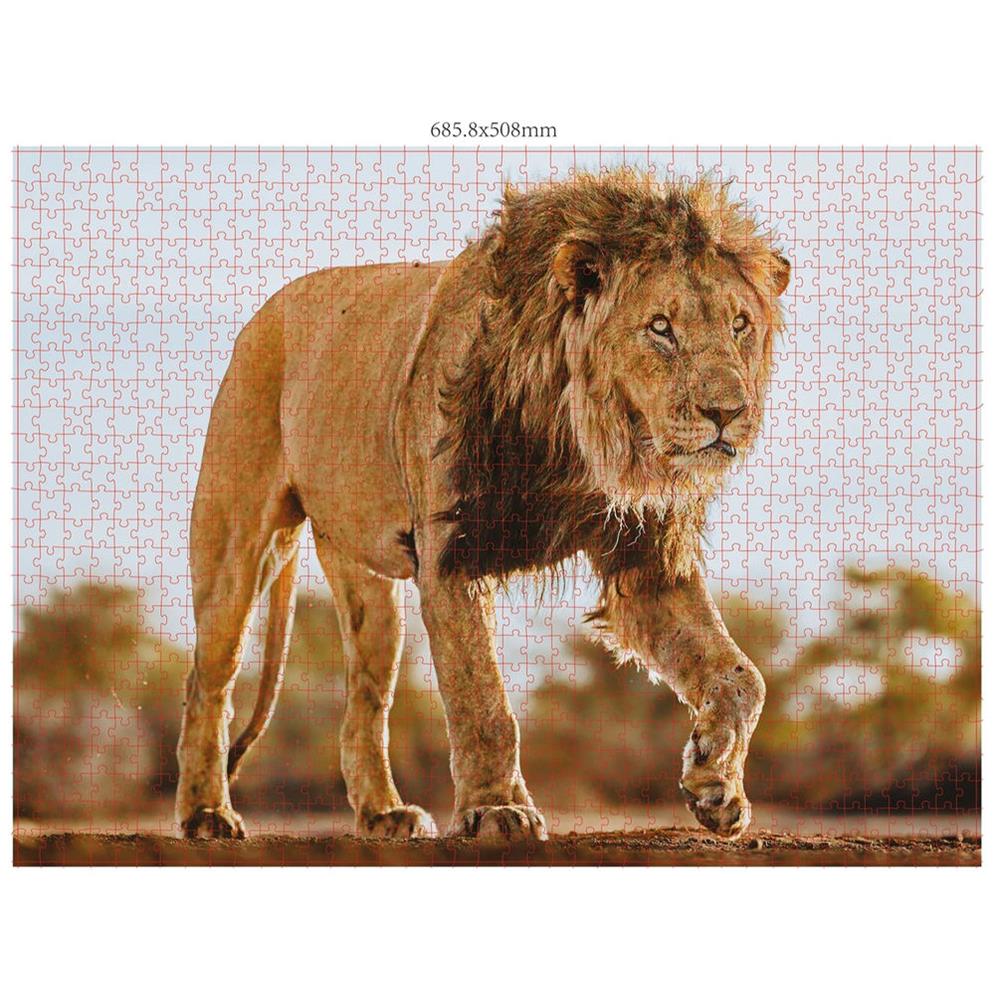Ambassador Wildtiere 3x1000 Teile (Donal Boyd)