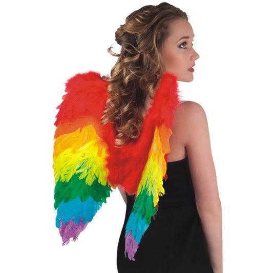 Carnival angel wings, rainbow