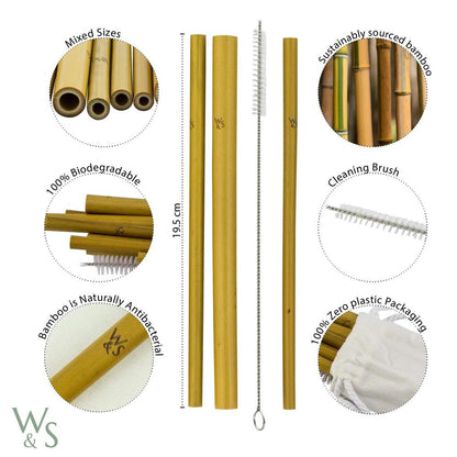 Pailles en bambou, réutilisables, paquet de 10