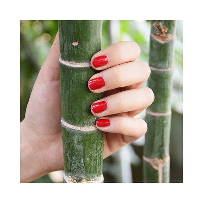 Boho Nail Polish revolution