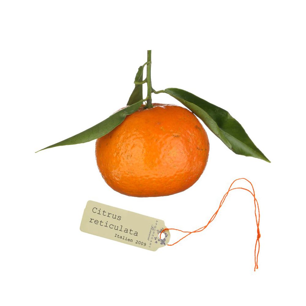 Spray aromatique floral mandarine, 15 ml