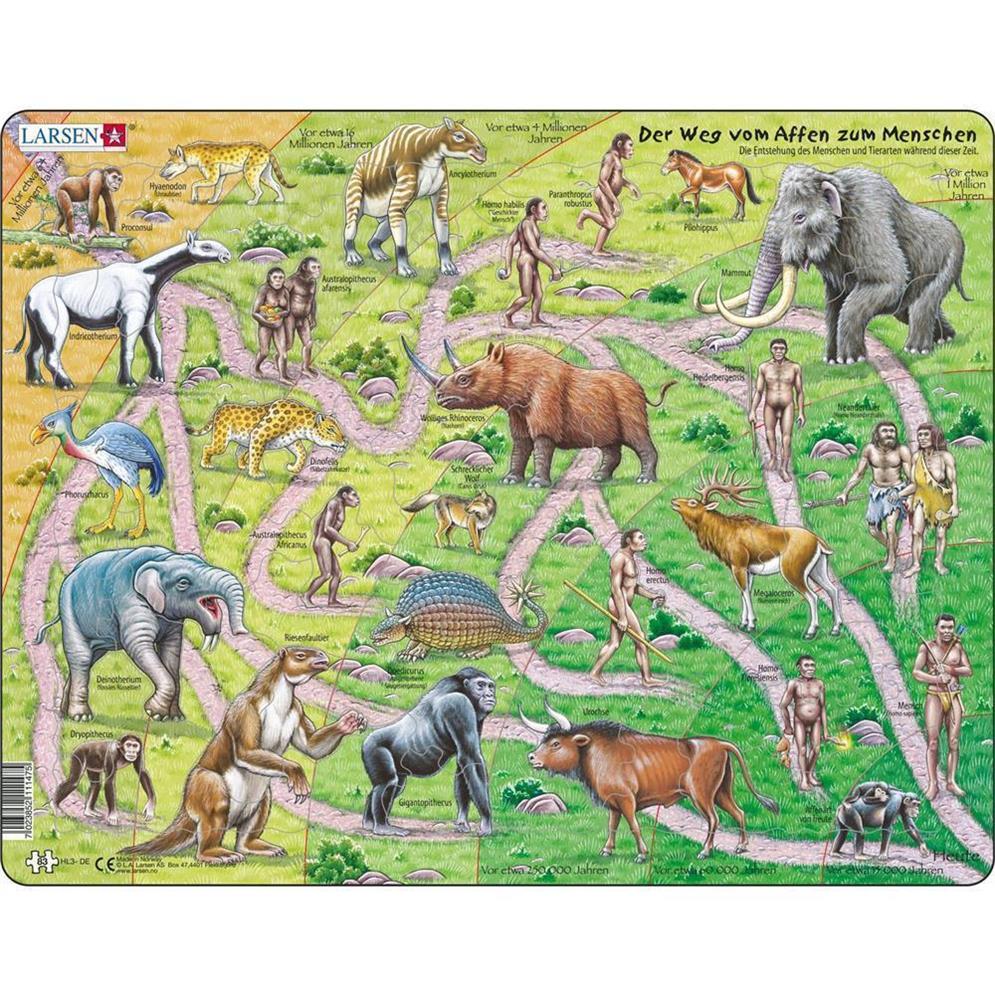 Puzzle Der Weg vom Affen zum Menschen, 83 Teile