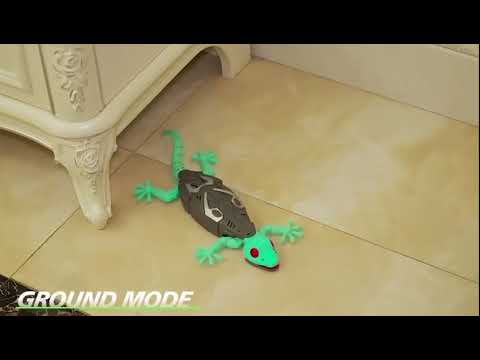 RC Gecko the Wall-Climber 2.4 Ghz
