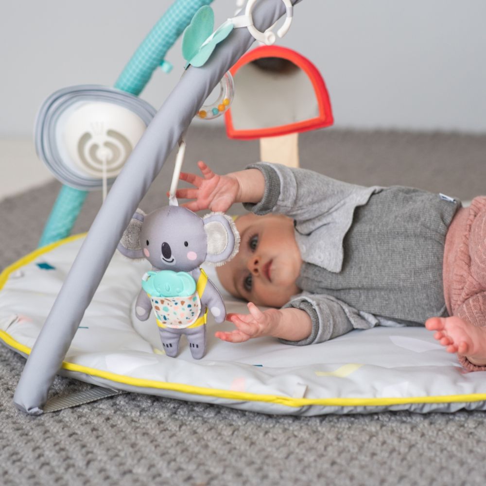 TAF TOYS Spielmatte All Around Me