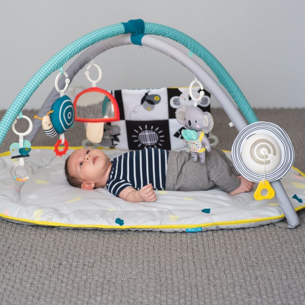 TAF TOYS Spielmatte All Around Me