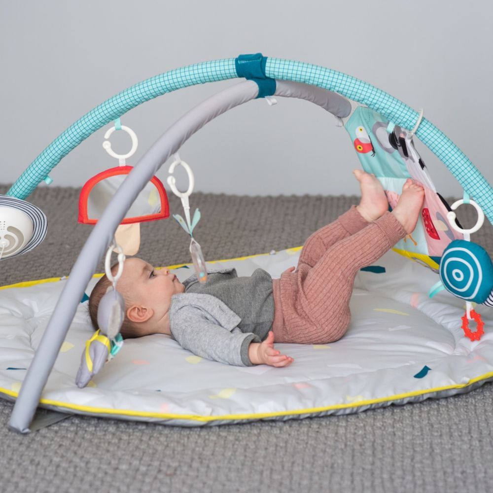 TAF TOYS Spielmatte All Around Me