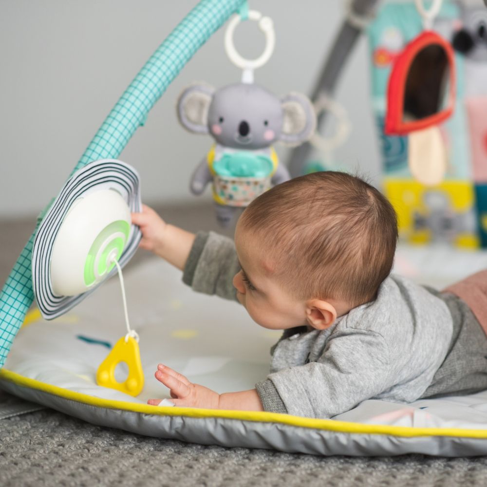 TAF TOYS Spielmatte All Around Me