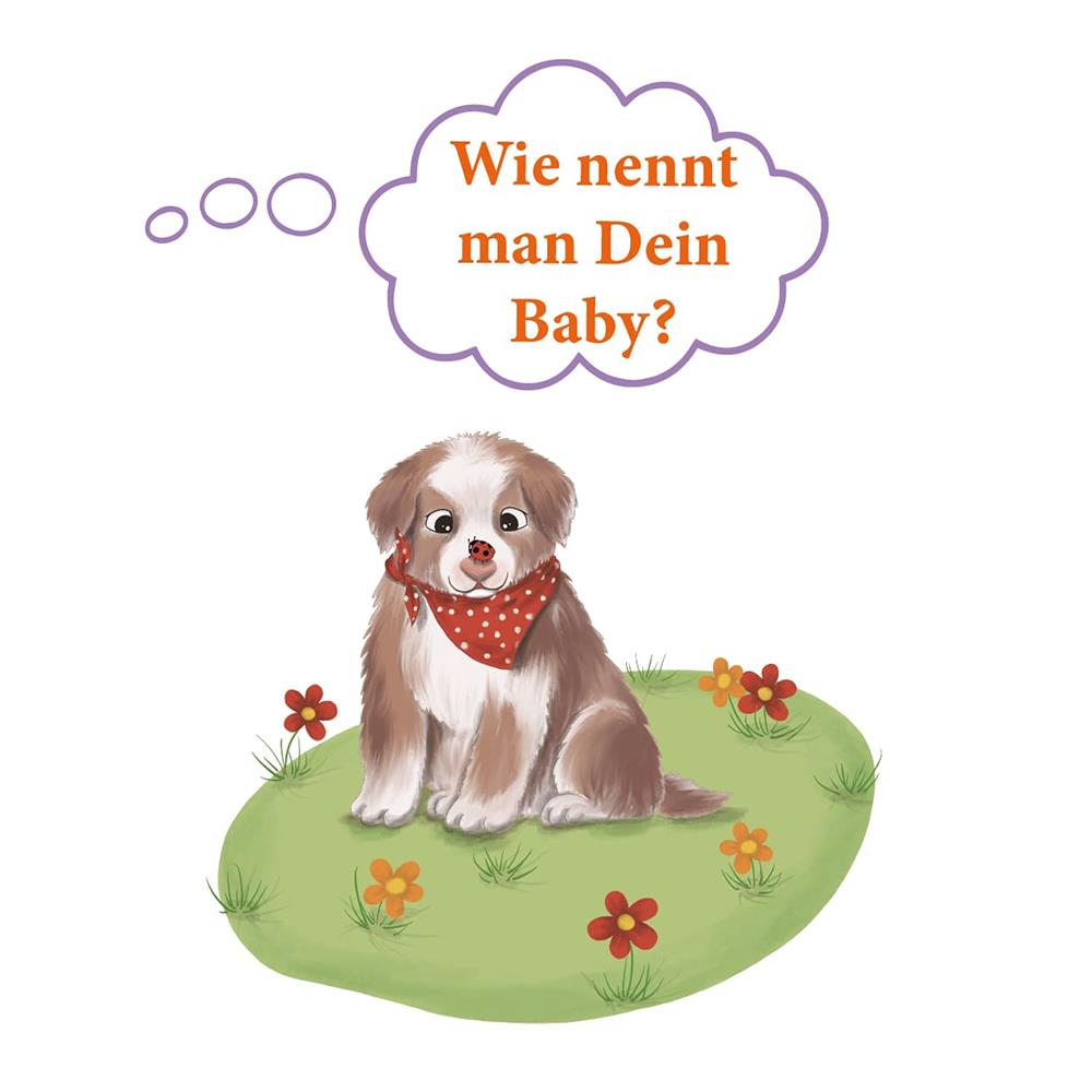 Alleovs WiBuKi Wissensbuch für Kinder Die Bauernhoftiere